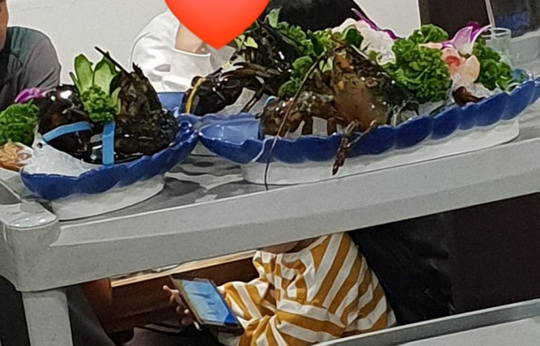 홍가네광어촌 이미지