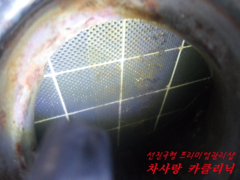 차사랑카클리닉 이미지