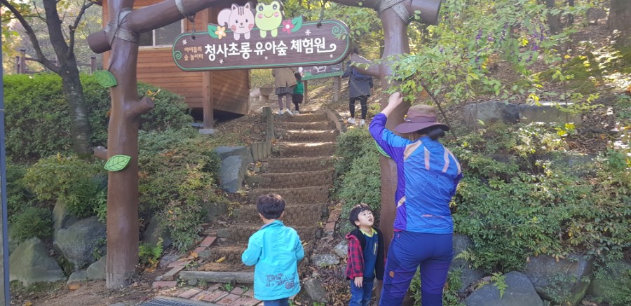 영어마을 유아숲체험원 이미지