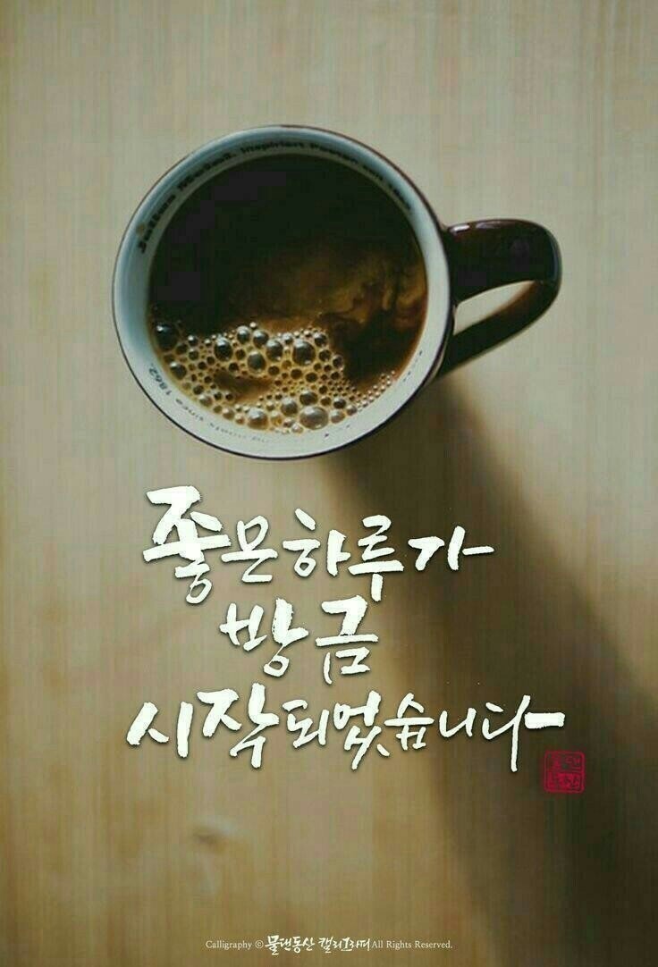 눈이보배 이미지