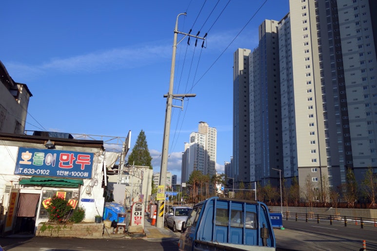 호돌이만두 이미지