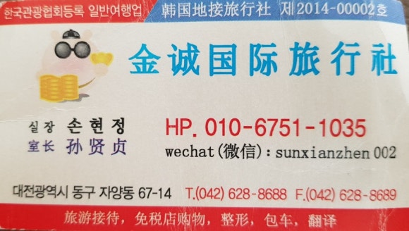 금성여행사 이미지