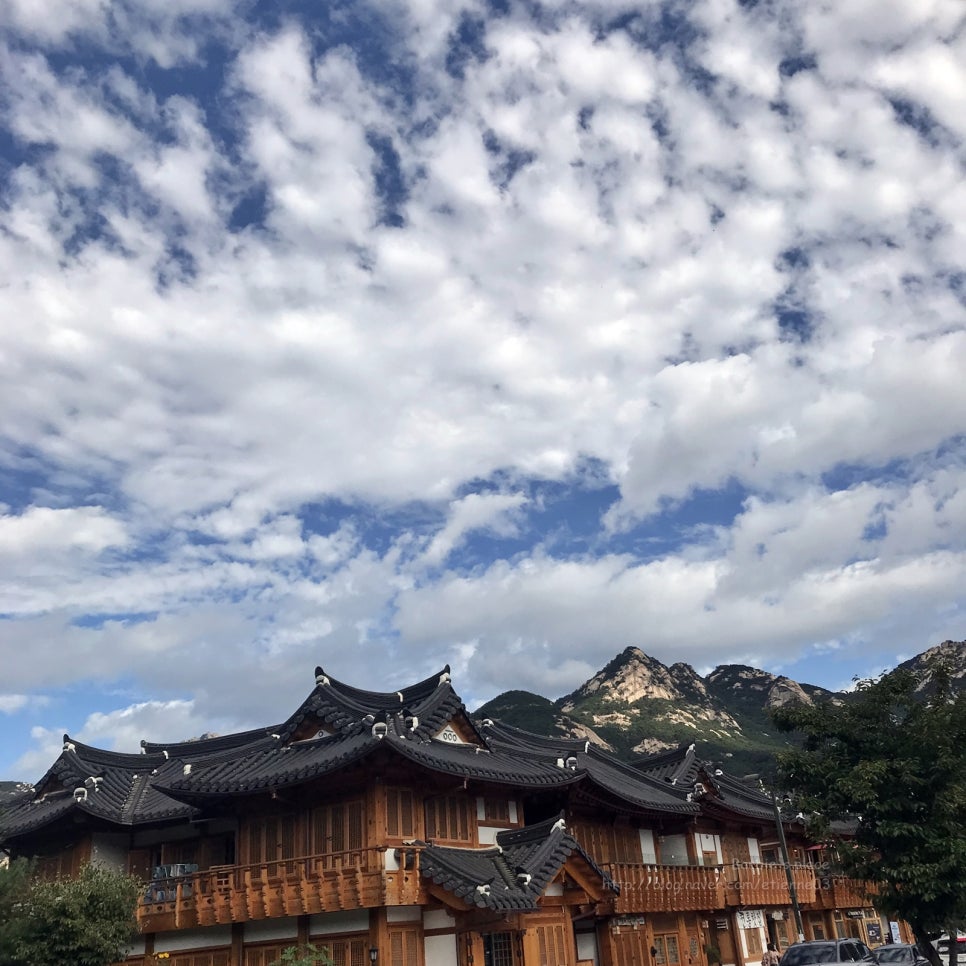 스마일북한산명품꽈배기 이미지