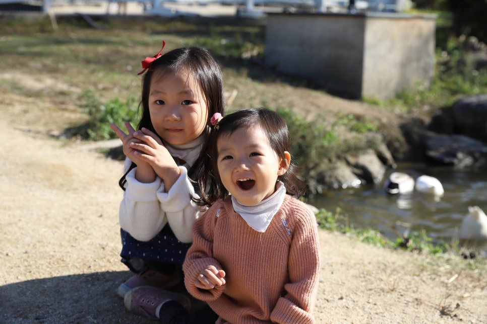 서운농장 이미지