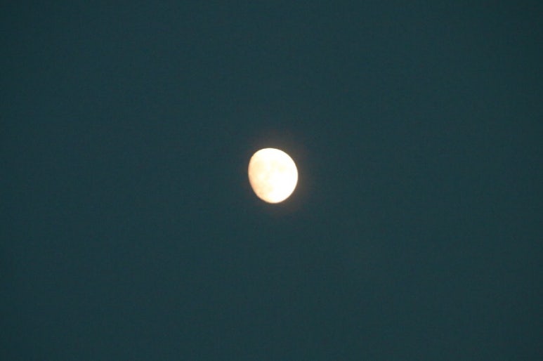 세명수산 이미지