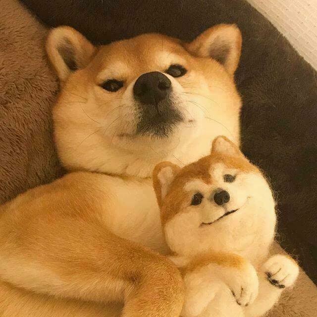 먹거리천국 이미지