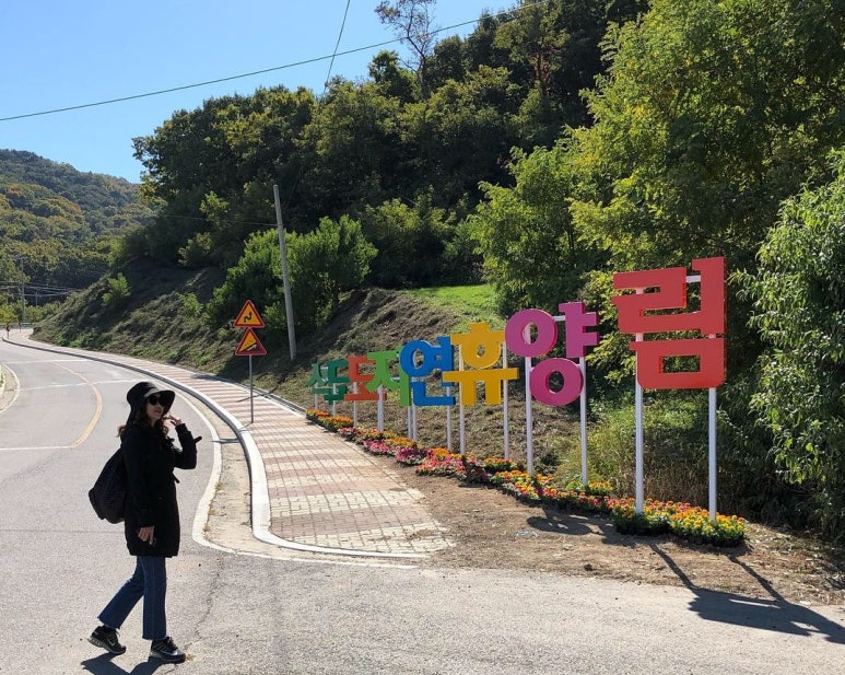석모도 자연휴양림 이미지