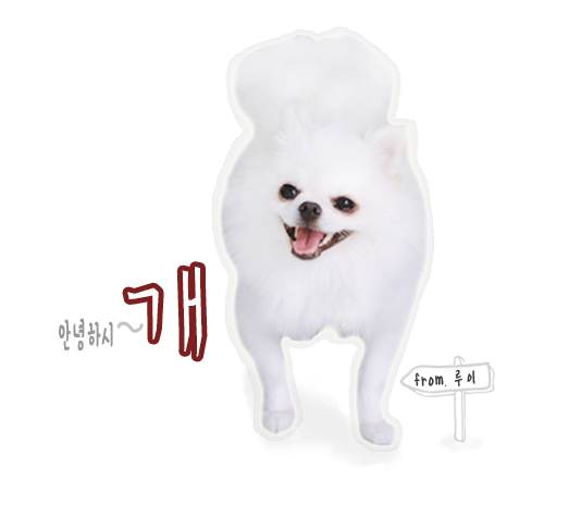 루이네 집 이미지