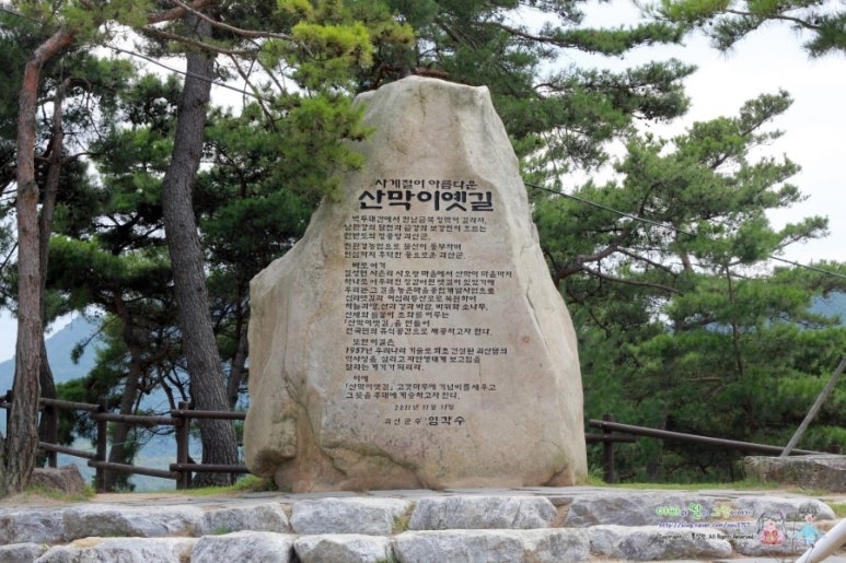 그린나라 이미지