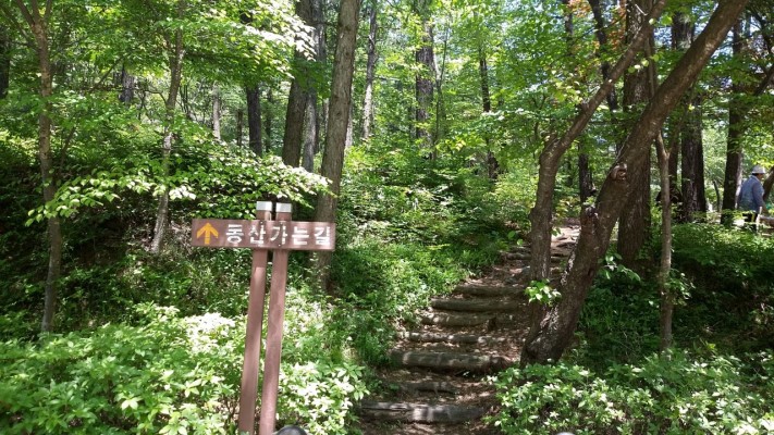 만인산자연휴양림 이미지