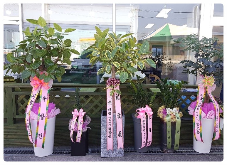 (주)금성화학 이미지