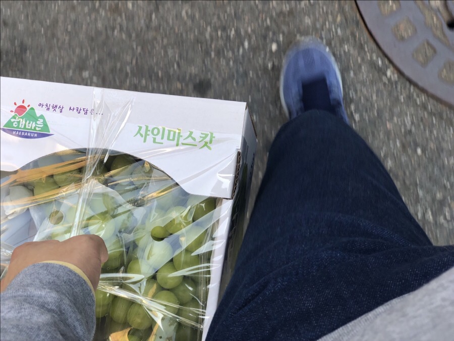 대명청과 이미지