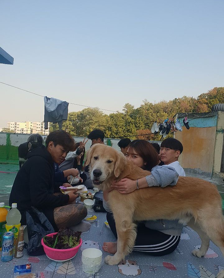 몽실이고기 이미지