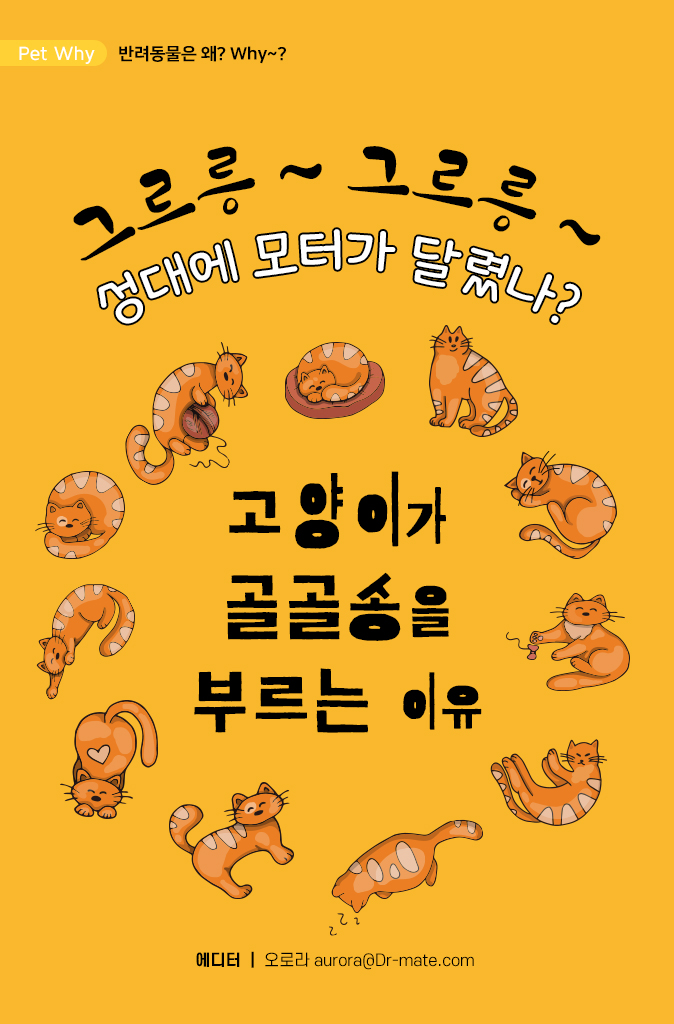 제인병원 이미지