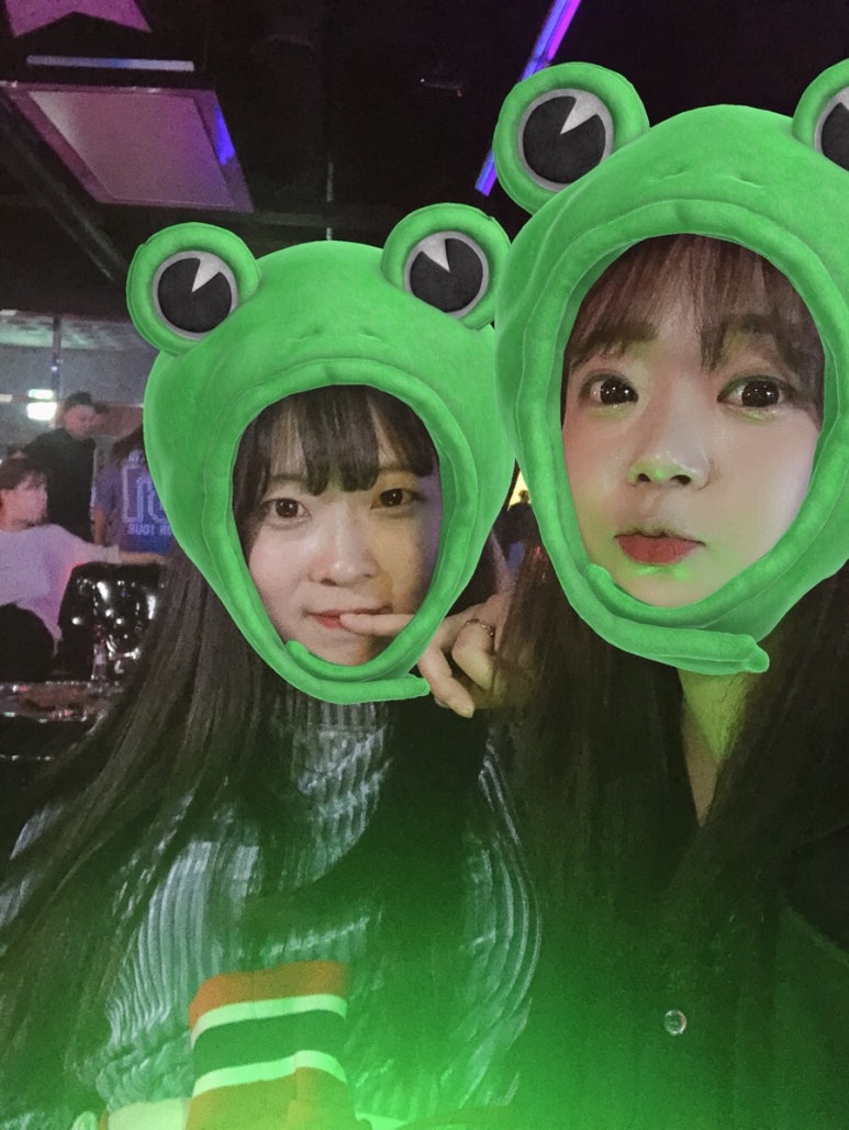 진미가효 이미지