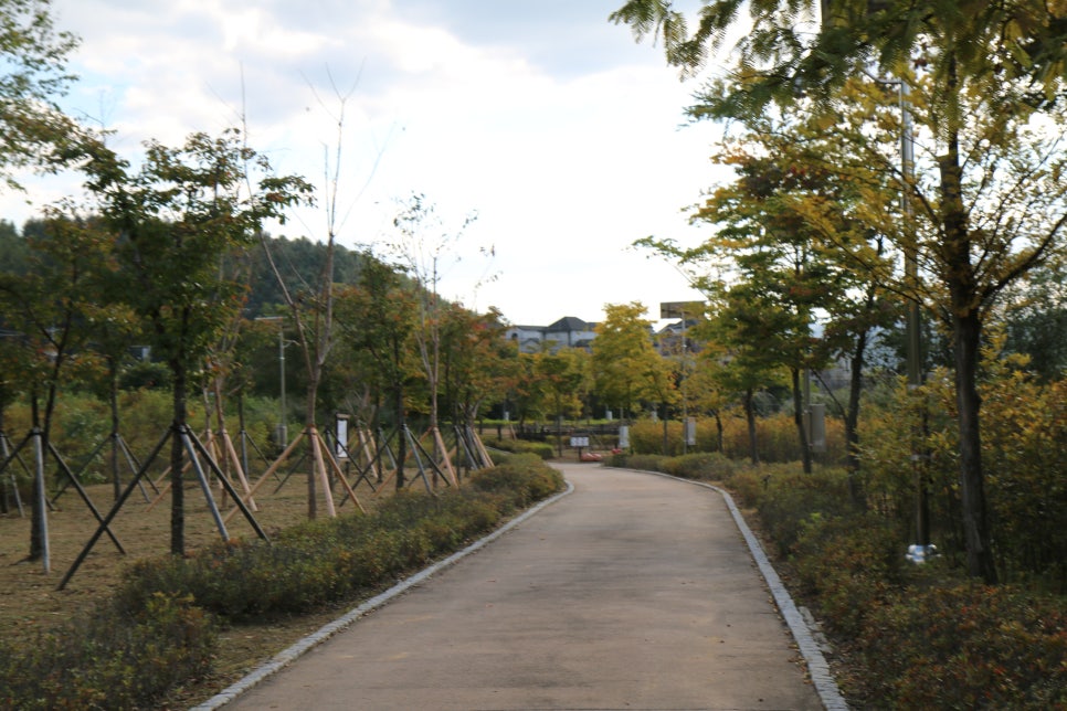 리파크 이미지