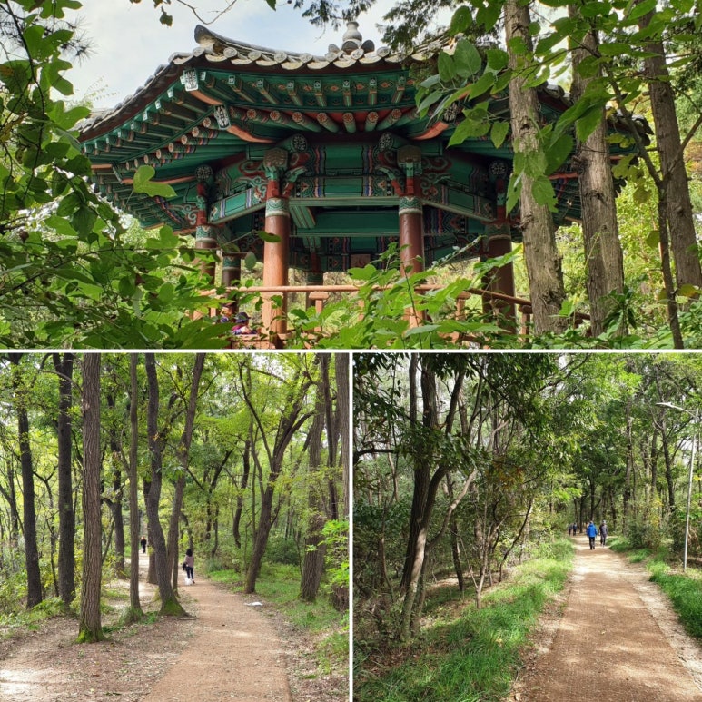 맑은옷세탁소 이미지