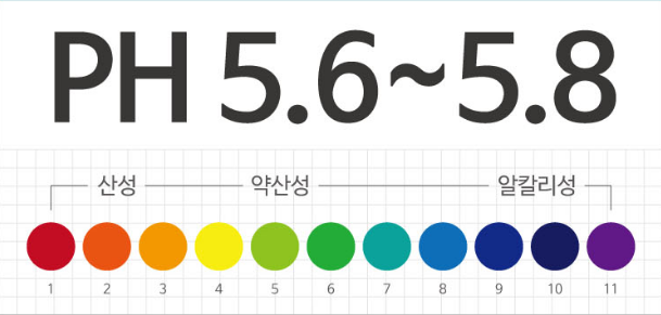 수앤향 이미지