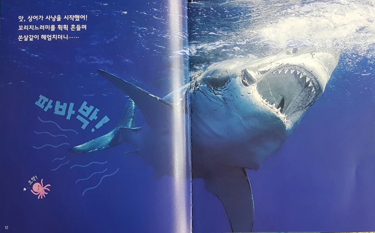 해바라기북스 이미지