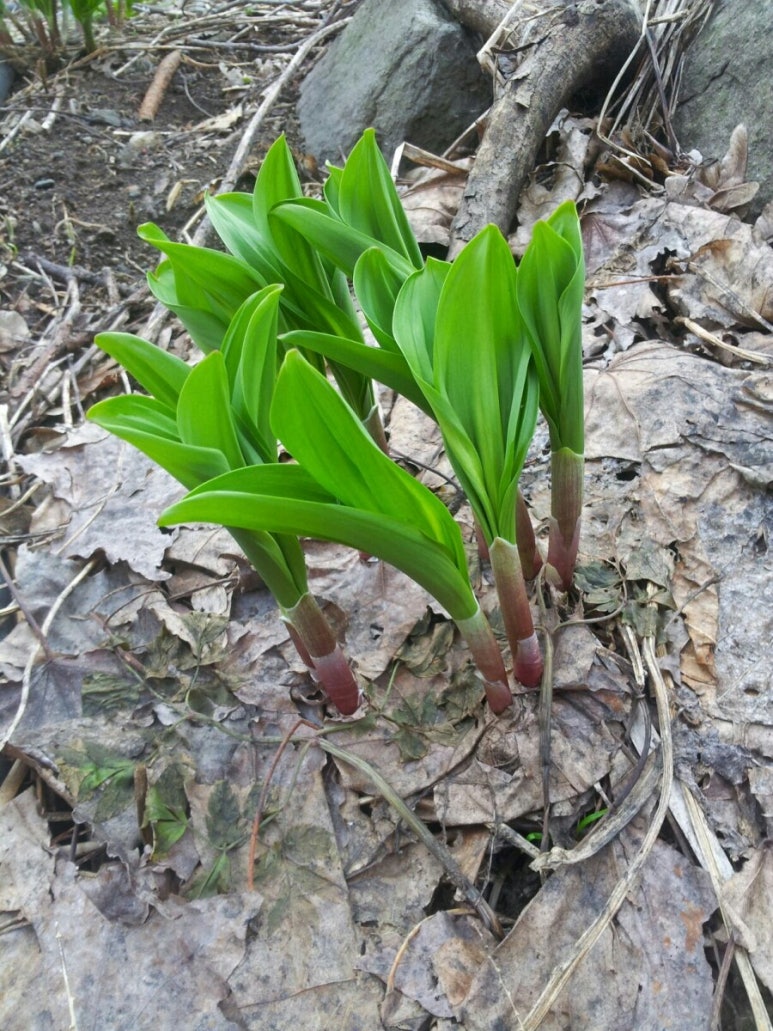 울릉유통 이미지