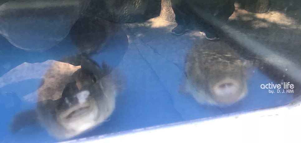 임진강매운탕 이미지