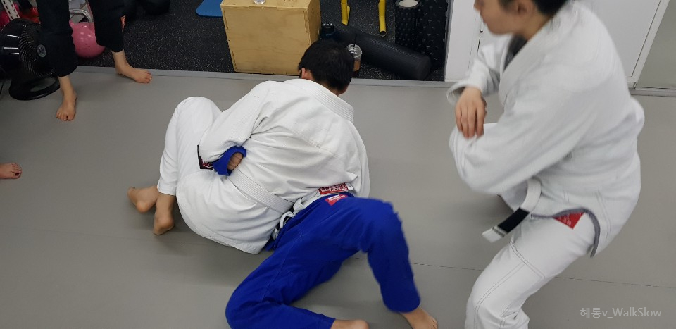 라이프짐MMA 이미지