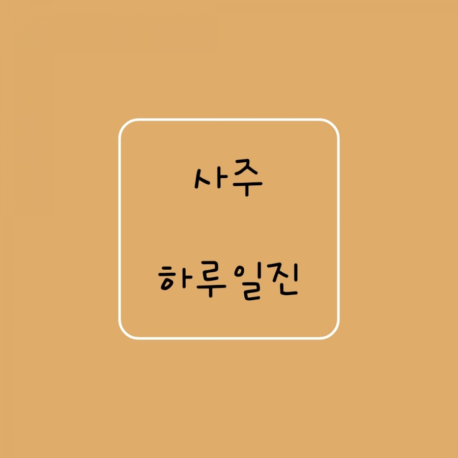 일진유통 이미지