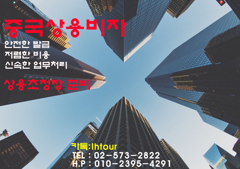 엘에이치 비자(L.H VISA) 이미지