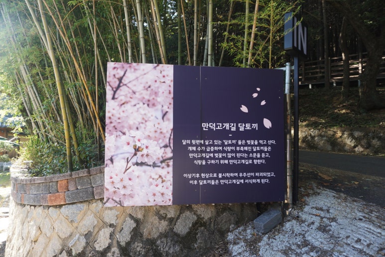 만덕고개길436 이미지