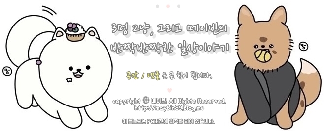 미녀홍어 이미지