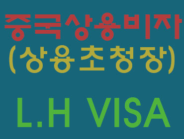 엘에이치 비자(L.H VISA) 이미지