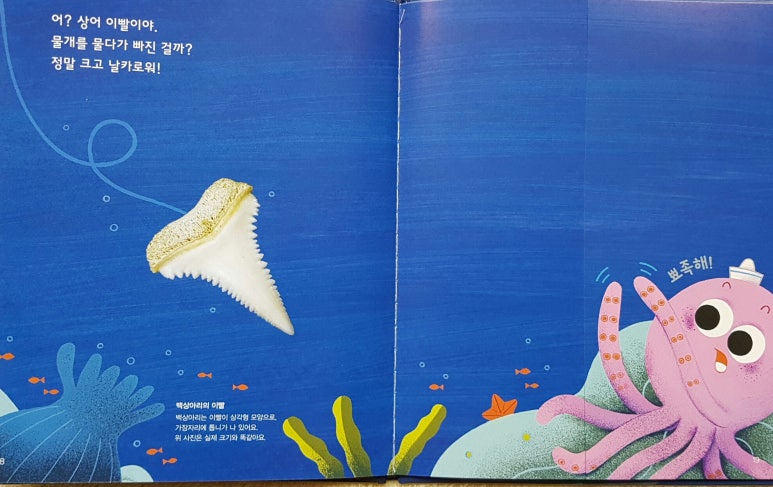 해바라기북스 이미지