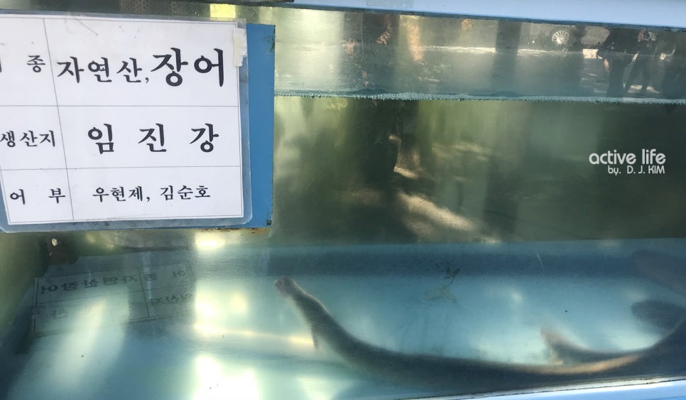 임진강민물장어 이미지