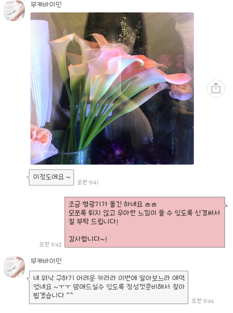 부케바이민 이미지