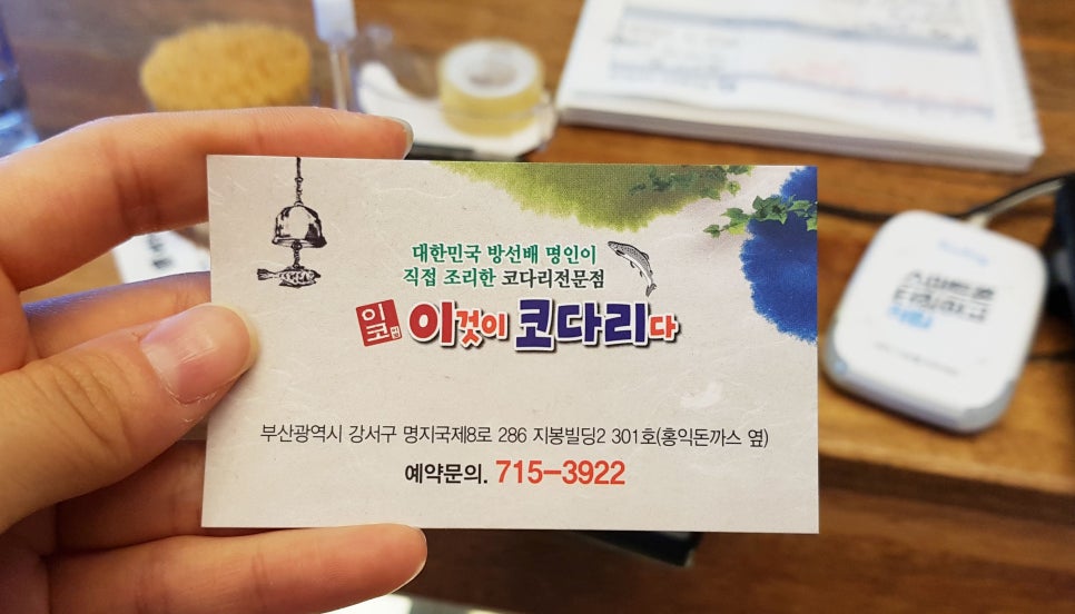 이것이코다리다 이미지