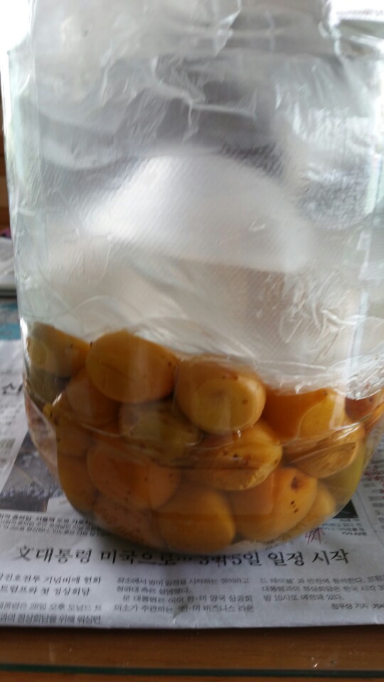 매란국죽 이미지