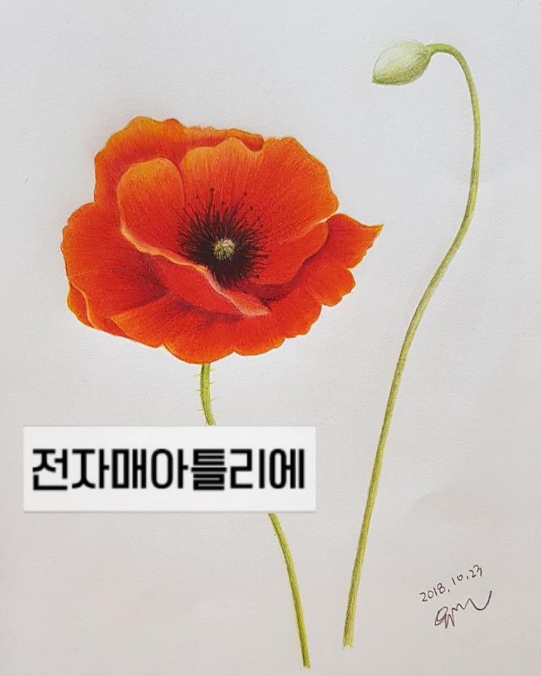전자매아틀리에 이미지