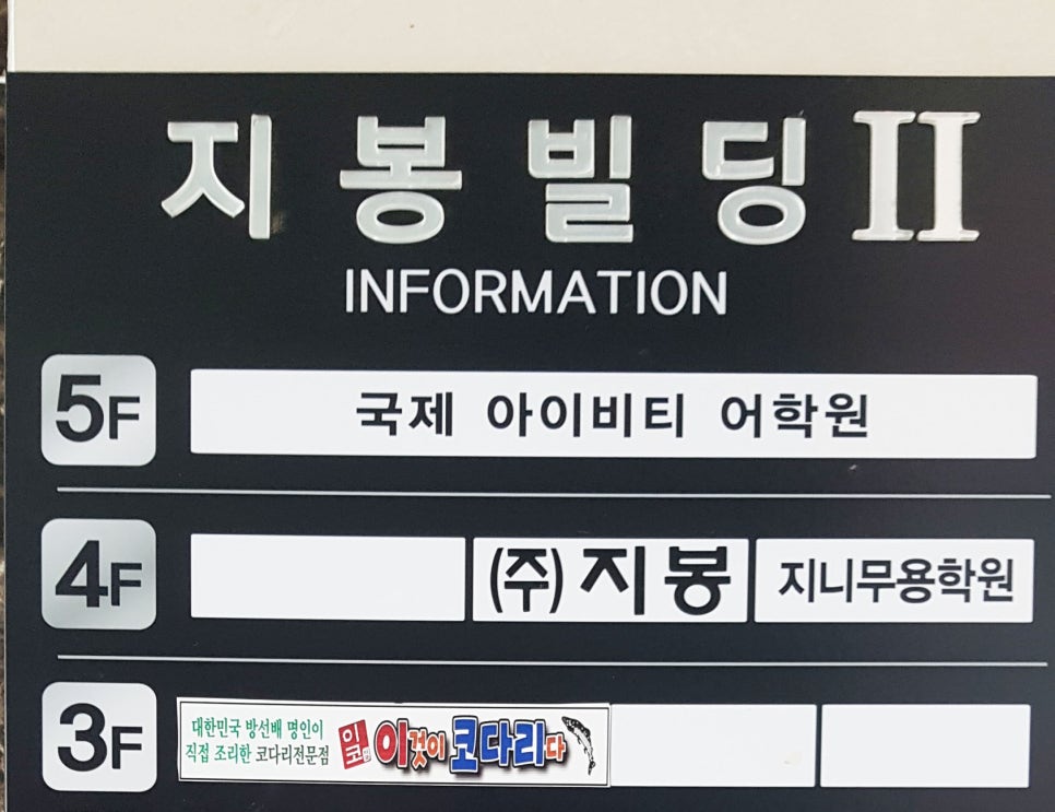이것이코다리다 이미지