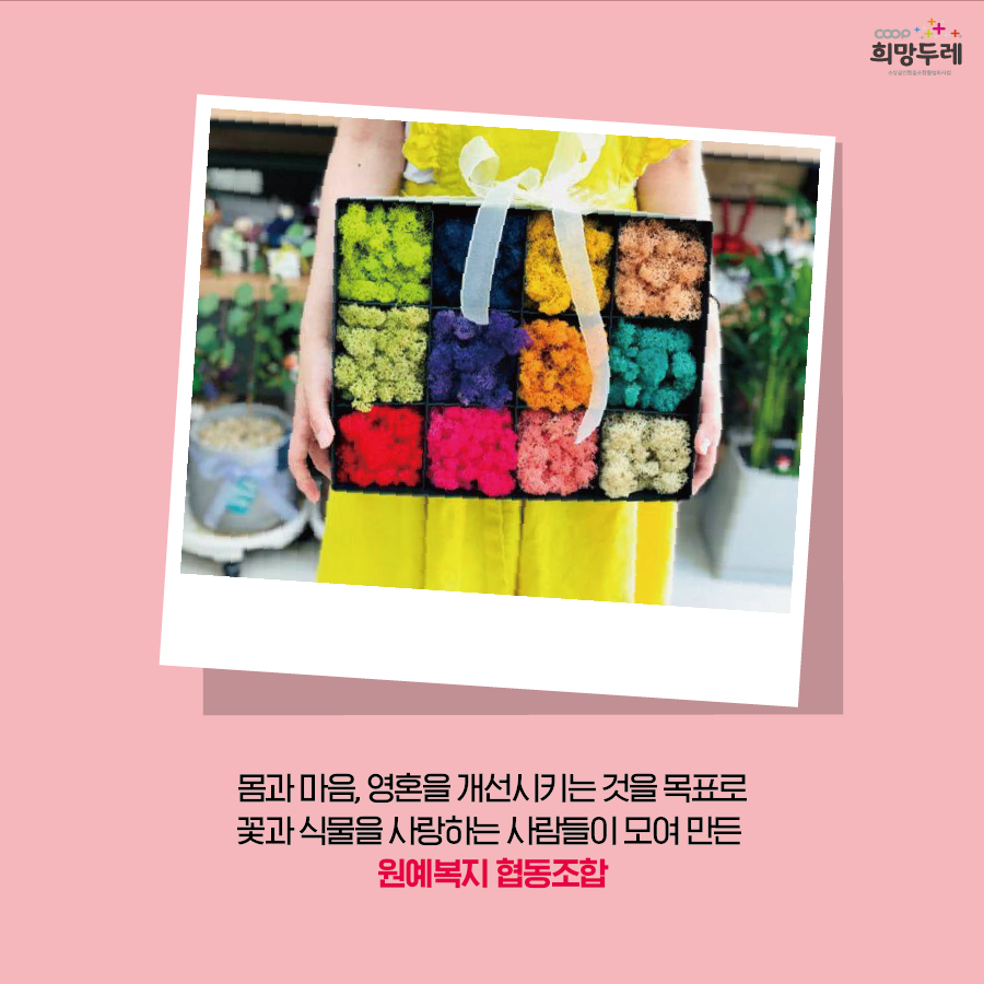 사랑마음협동조합 이미지