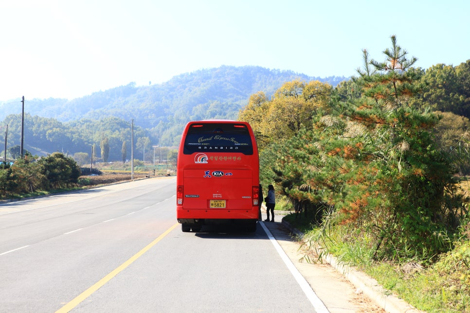 천일관광여행사 이미지