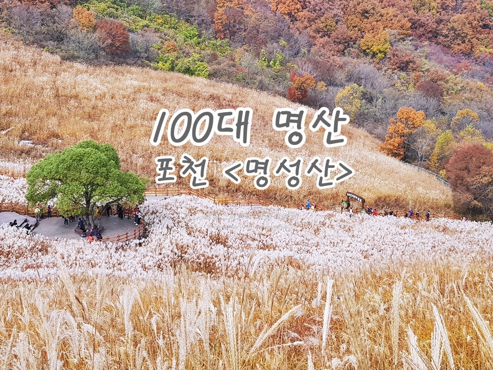 구삼각봉 정상 이미지