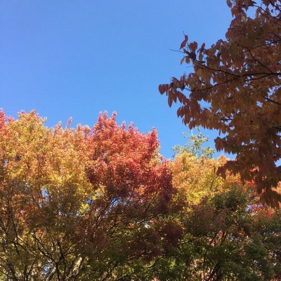 경영대복사 이미지