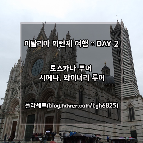 플라세르 투어 이미지