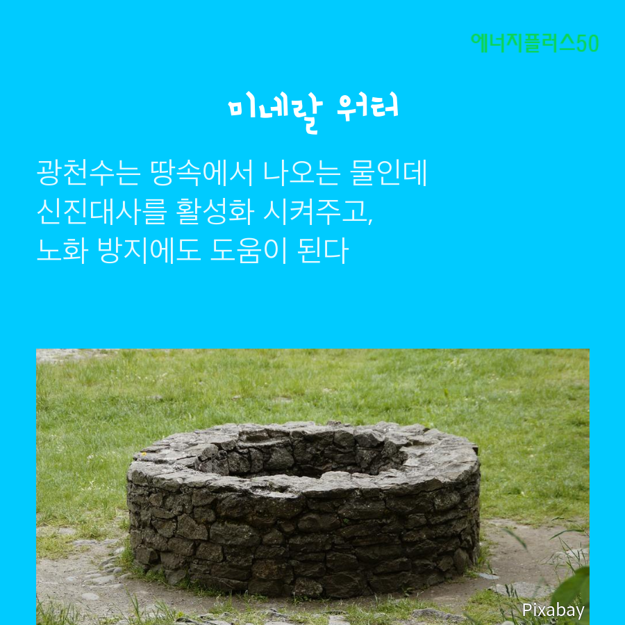 신진상수도 이미지