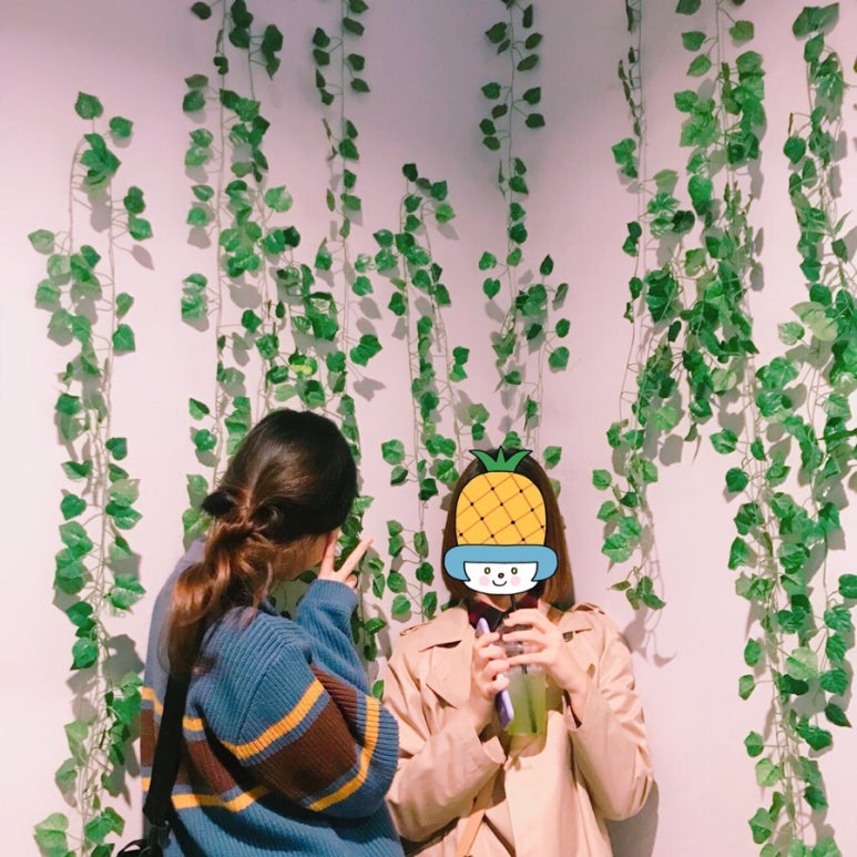 토브하리카페 이미지