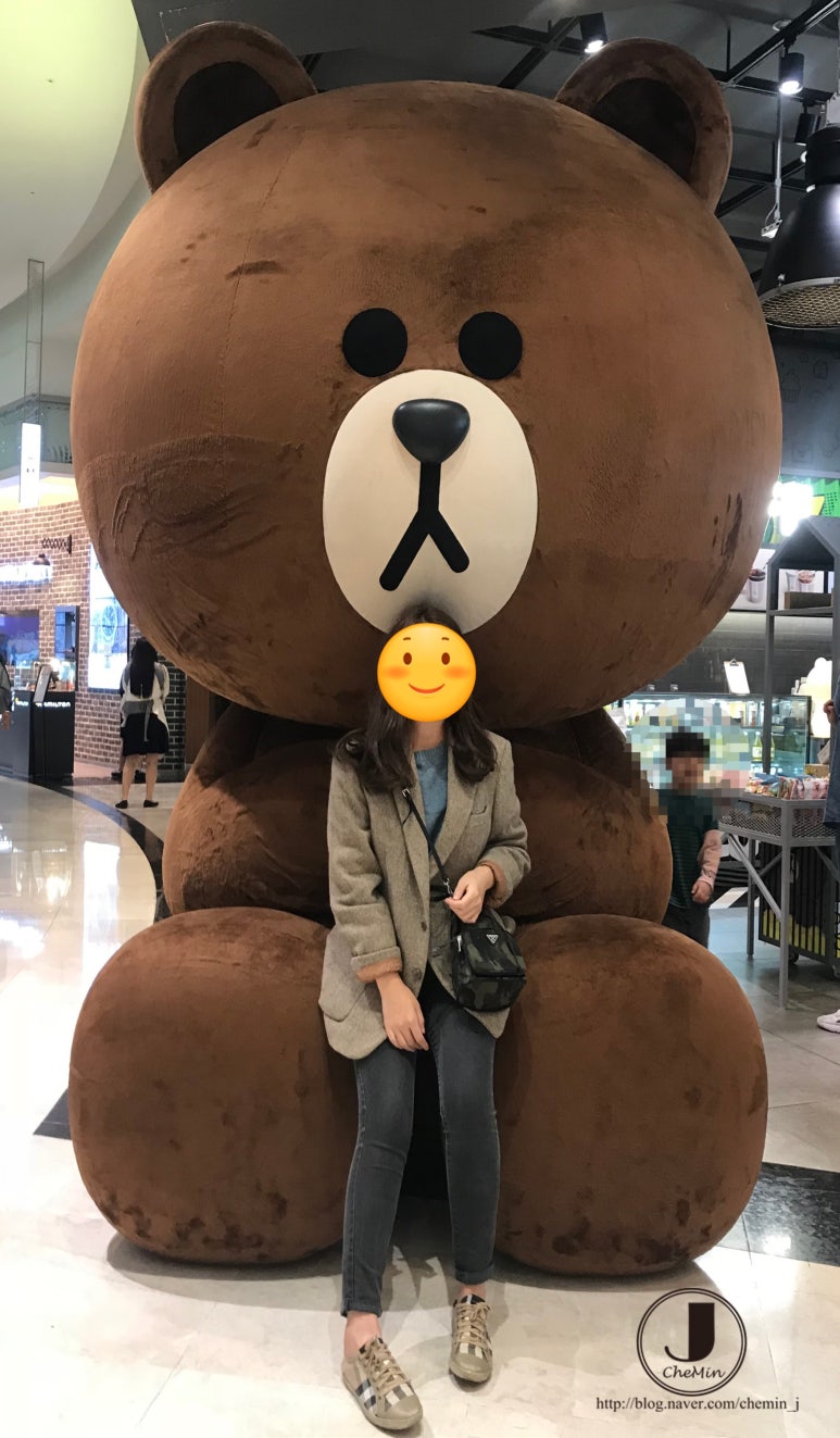 브라운보니 이미지