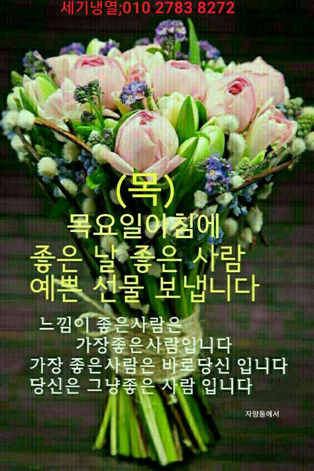 세기냉열 이미지