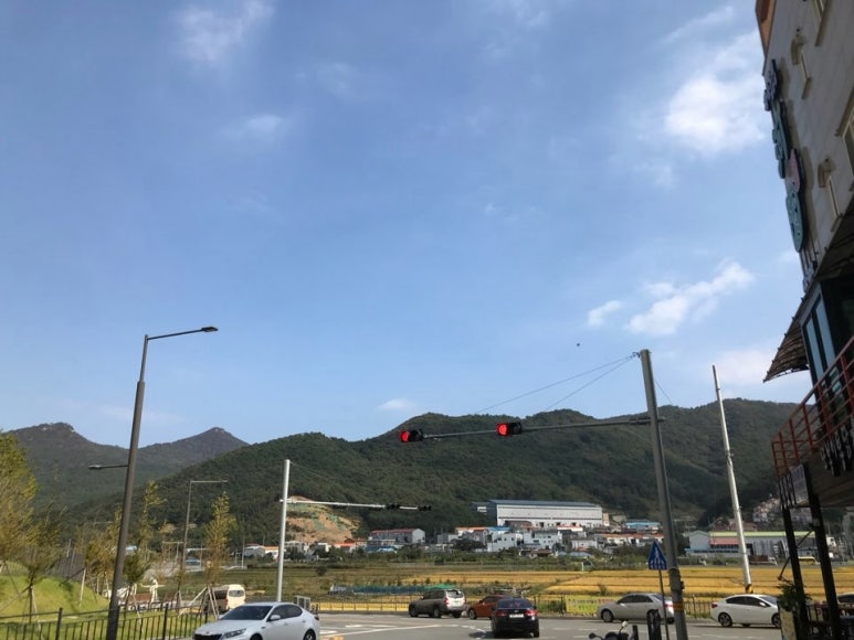 황칠오리 이미지