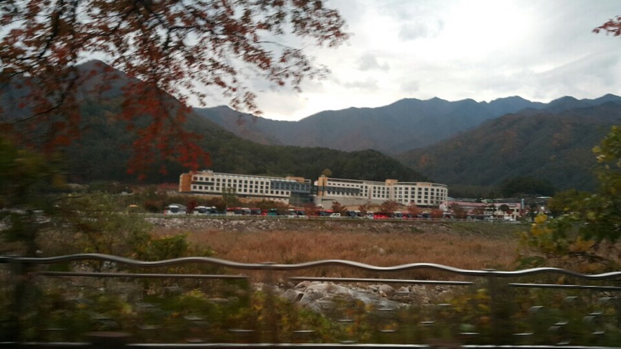 물스토리 이미지