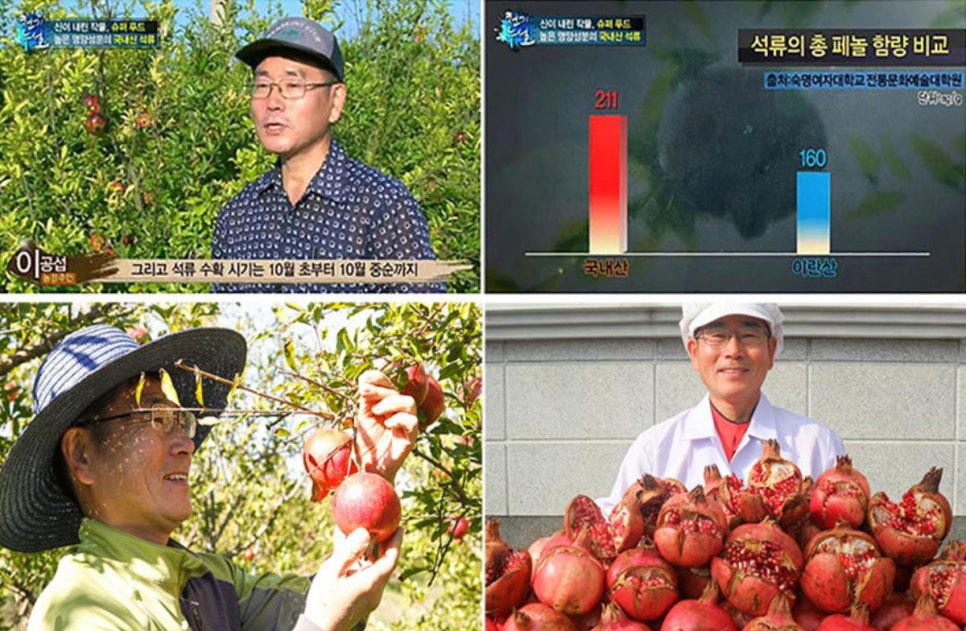 참샘푸드 이미지